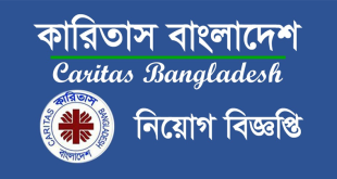 Caritas Bangladesh Job Circular 2024